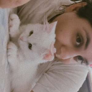 Harry