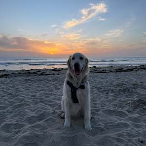 Jaci