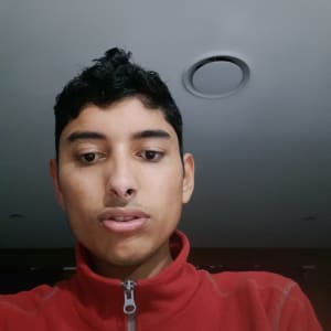 Swapnil Srijan
