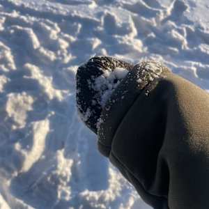 OLUWASEUNFUNMI EBUNOLORUN OLAMIKAN