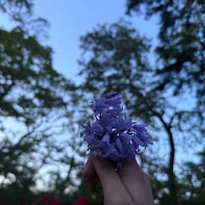 Muskan