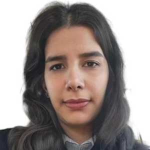 mina mirkazemi