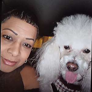 Neesa