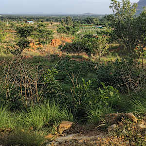 Rohit Kumar