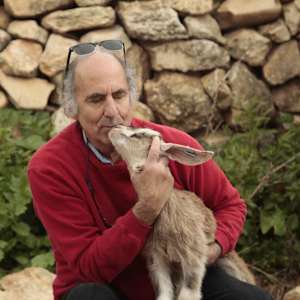 Jerry shulman