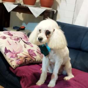Camilo