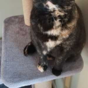 Marie