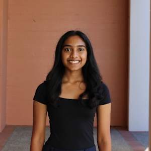 Veena