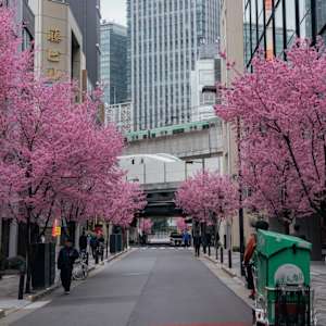 aksh