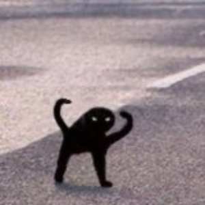 Kit