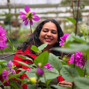 KAVYA