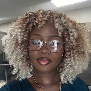 Damisi