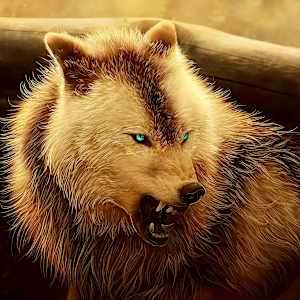 Noah