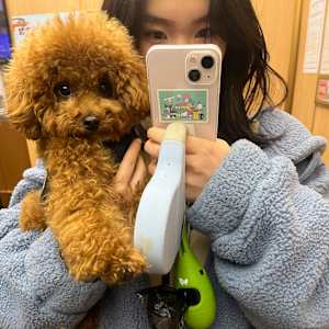 Heeyeon Kim