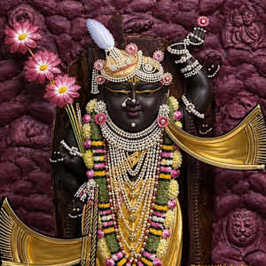 Vaibhav Soni