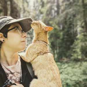 kitty