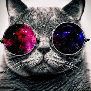 Bathurst-King Wellinton Place West Queen West Fort York Liberty Village