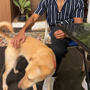 Aditya