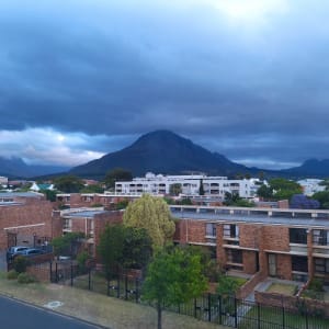 Bonga