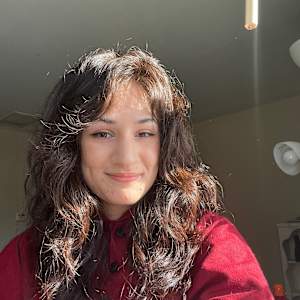 hiba