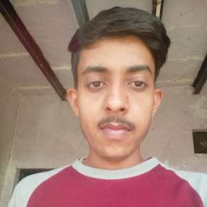 Nirbhay Tomar