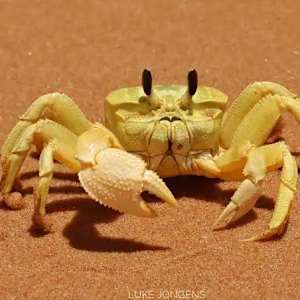 looking for my friend