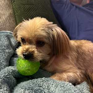 Mason