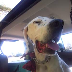 Heidi