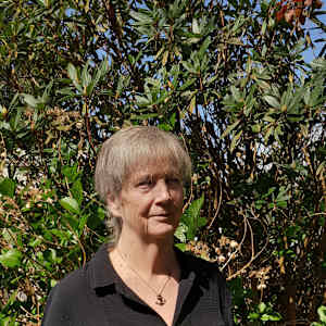 Barbara A Montgomery