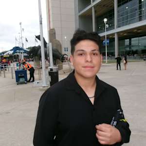 Jaevien