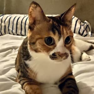 Katherine