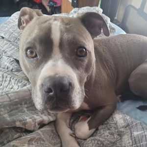 Samantha