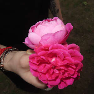 alannah may