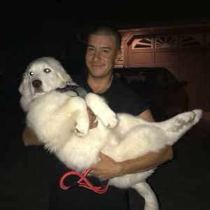 Elias