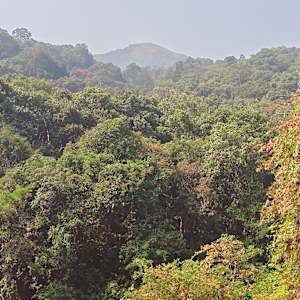 Nandana