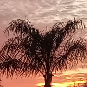 Dawn Gazzola