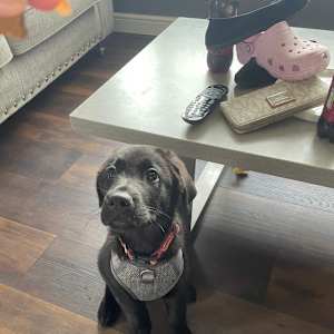 Chloe