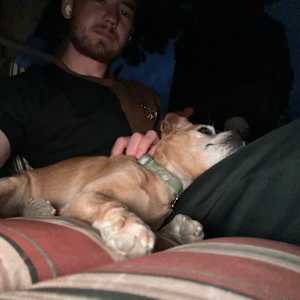 Trey