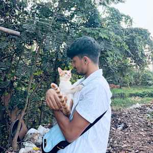 chaitanya ameenpalli