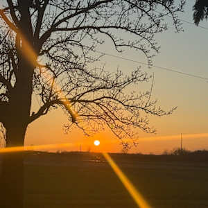 Hope