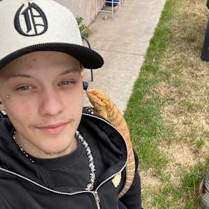 Tristen