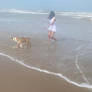 Jazmin