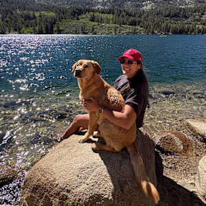 Sequoia