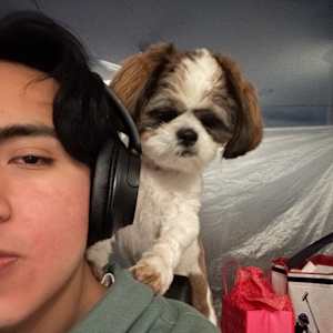 mateo