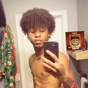 David L Williams