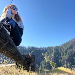 Araya
