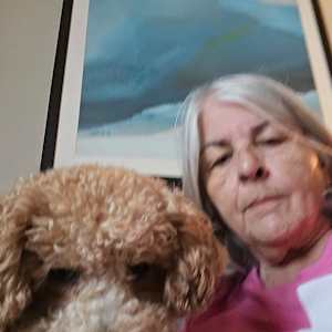 Claire D Schwartz