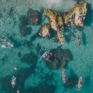 Ankush