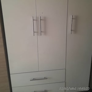 Viola