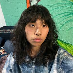 Sebin